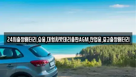 서울특별시 종로구 인의동 중고차 전문 24시출장배터리,승용,대형차밧데리총판AGM,산업용,중고출장배터리