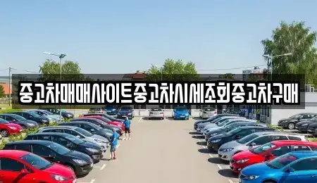 서울특별시 종로구 인의동 중고차매매 전문 중고차매매사이트중고차시세조회중고차구매
