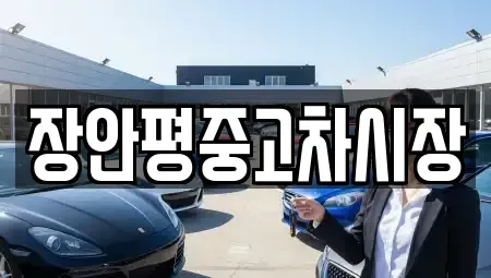 서울특별시 종로구 재동 중고차매매 전문 장안평중고차시장