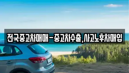 서울특별시 종로구 종로3가 중고차매입 전문 전국중고차매매-중고차수출,사고노후차매입