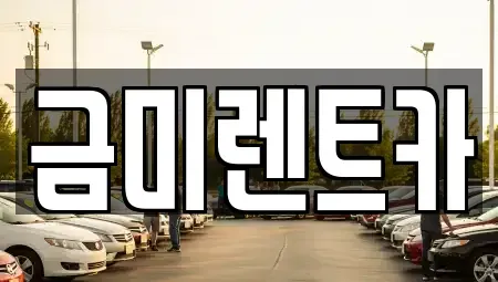 서울특별시 종로구 팔판동 렌트카 전문 금미렌트카