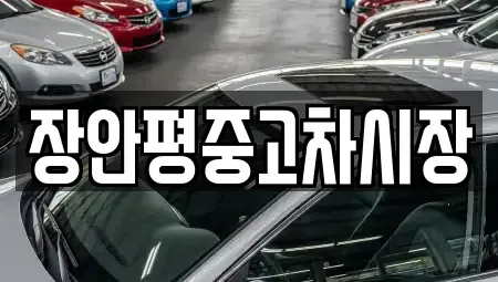 서울특별시 종로구 팔판동 중고차 전문 장안평중고차시장