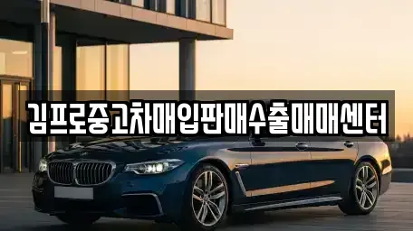 서울특별시 종로구 팔판동 중고차매입 전문 김프로중고차매입판매수출매매센터