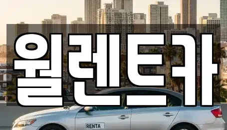 서울특별시 중구 남대문로1가 렌트카 전문 월렌트카
