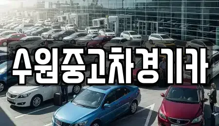 서울특별시 중구 남대문로1가 중고차 전문 수원중고차경기카
