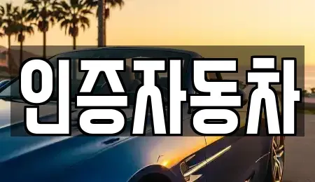 서울특별시 중구 남대문로1가 중고차 전문 인증자동차