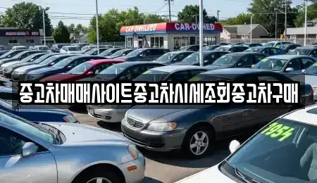 서울특별시 중구 남대문로1가 중고차 전문 중고차매매사이트중고차시세조회중고차구매