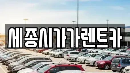 세종 다정동 렌트카 전문 세종시가가렌트카