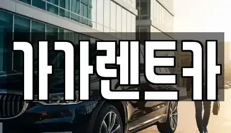 세종 다정동 장기렌트카 전문 가가렌트카