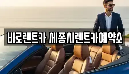 세종 다정동 장기렌트카 전문 바로렌트카 세종시렌트카예약소