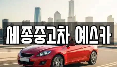 세종 다정동 중고차 전문 세종중고차 예스카