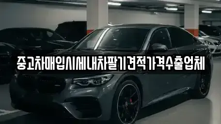 세종 다정동 중고차매입 전문 중고차매입시세내차팔기견적가격수출업체
