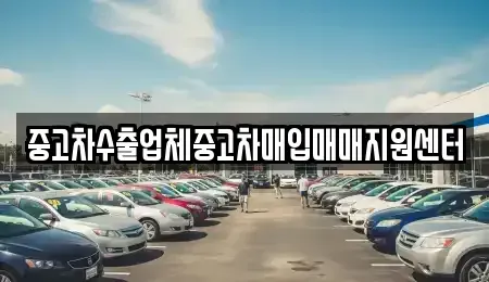 세종 다정동 중고차매입 전문 중고차수출업체중고차매입매매지원센터