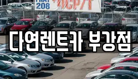 세종 부강면 렌트카 전문 다연렌트카 부강점