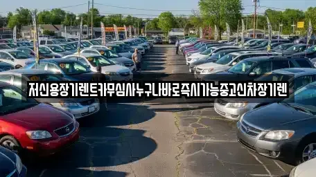 세종 부강면 장기렌트카 전문 저신용장기렌트카무심사누구나바로즉시가능중고신차장기렌