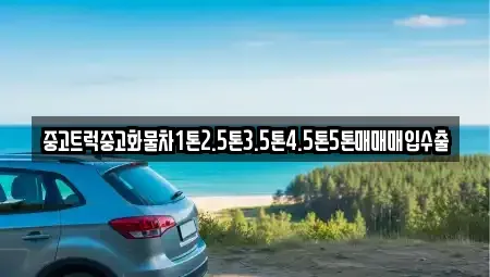 세종 용호동 단기렌트카,중고차매입,중고차매매,중고차,렌트카,장기렌트카