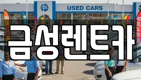 울산 남구 옥동 렌트카 전문 금성렌트카