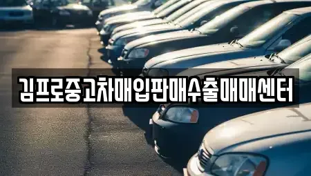 울산 남구 옥동 중고차매입 전문 김프로중고차매입판매수출매매센터