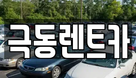 울산광역시 남구 장생포동 렌트카 전문 극동렌트카