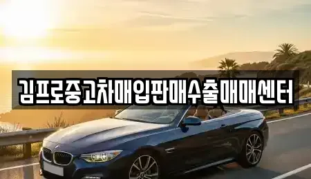울산광역시 동구 전하동 중고차 전문 김프로중고차매입판매수출매매센터