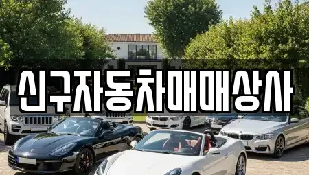 울산광역시 동구 전하동 중고차 전문 신구자동차매매상사