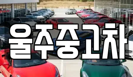 울산광역시 울주군 두서면 중고차매매,단기렌트카,중고차매입,장기렌트카,중고차,렌트카