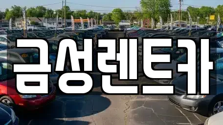 울산광역시 중구 태화동 렌트카 전문 금성렌트카