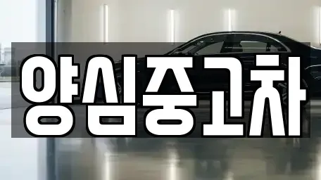 인천 계양구 상야동 중고차 전문 양심중고차