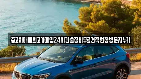 인천 계양구 상야동 중고차 전문 중고차매매최고가매입24시간출장비무료견적현장방문지누카