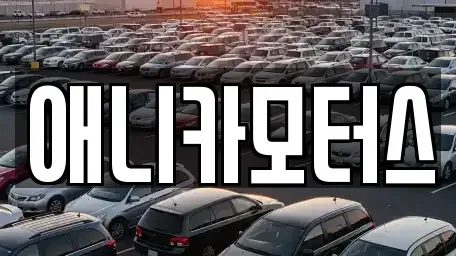 인천 계양구 상야동 중고차매매 전문 애니카모터스