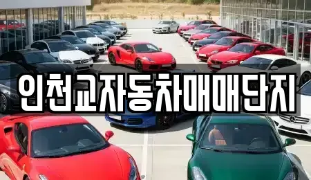 인천 동구 중고차 전문 인천교자동차매매단지