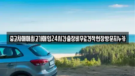 인천 중구 남북동 중고차 전문 중고차매매최고가매입24시간출장비무료견적현장방문지누카