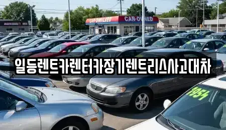 인천 중구 운북동 렌트카 전문 일등렌트카렌터카장기렌트리스사고대차