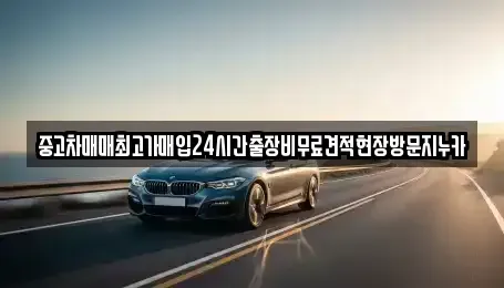 인천 중구 운북동 중고차매입 전문 중고차매매최고가매입24시간출장비무료견적현장방문지누카