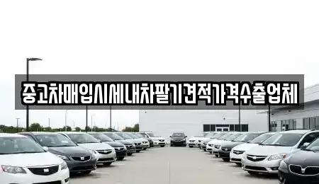 인천 중구 운북동 단기렌트카,중고차매입,중고차매매,중고차,렌트카,장기렌트카