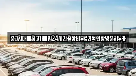 인천 중구 해안동1가 중고차매매 전문 중고차매매최고가매입24시간출장비무료견적현장방문지누카