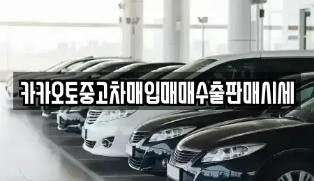 인천 중구 해안동1가 중고차매입 전문 카카오토중고차매입매매수출판매시세