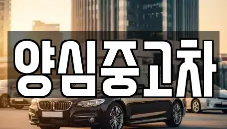 인천광역시 계양구 오류동 중고차 전문 양심중고차