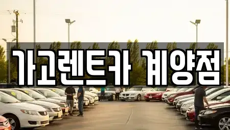 인천광역시 계양구 임학동 렌트카 전문 가고렌트카 계양점
