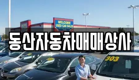 인천광역시 남동구 논현동 중고차매매 전문 동산자동차매매상사