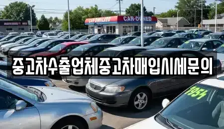 인천광역시 남동구 논현동 중고차매매 전문 중고차수출업체중고차매입시세문의