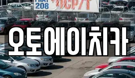 인천광역시 서구 심곡동 장기렌트카 전문 오토에이치카
