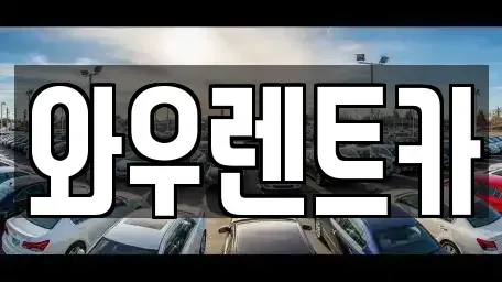 인천광역시 서구 왕길동 렌트카 전문 와우렌트카