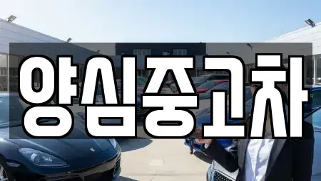 인천광역시 서구 왕길동 중고차 전문 양심중고차