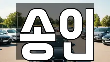 인천광역시 중구 중앙동2가 렌트카 전문 송인