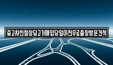 인천광역시 중구 중앙동2가 중고차매매 전문 중고차친절상담고가매입당일이전무료출장방문견적