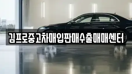 인천광역시 중구 중앙동2가 중고차매입 전문 김프로중고차매입판매수출매매센터