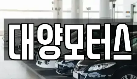 전남 강진군 군동면 중고차매매 전문 대양모터스