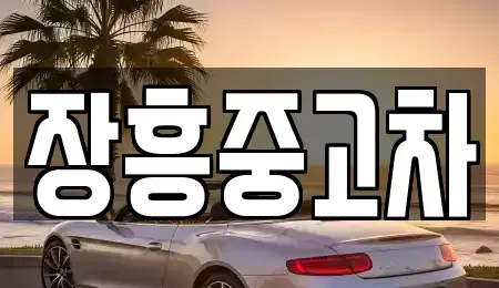 전남 강진군 군동면 중고차매매 전문 장흥중고차