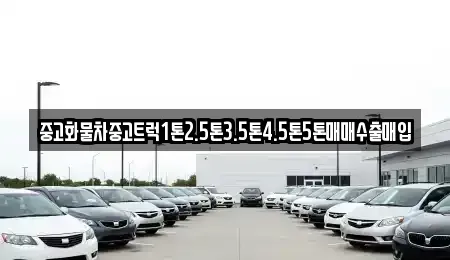 전남 강진군 군동면 단기렌트카,중고차매입,중고차매매,중고차,렌트카,장기렌트카